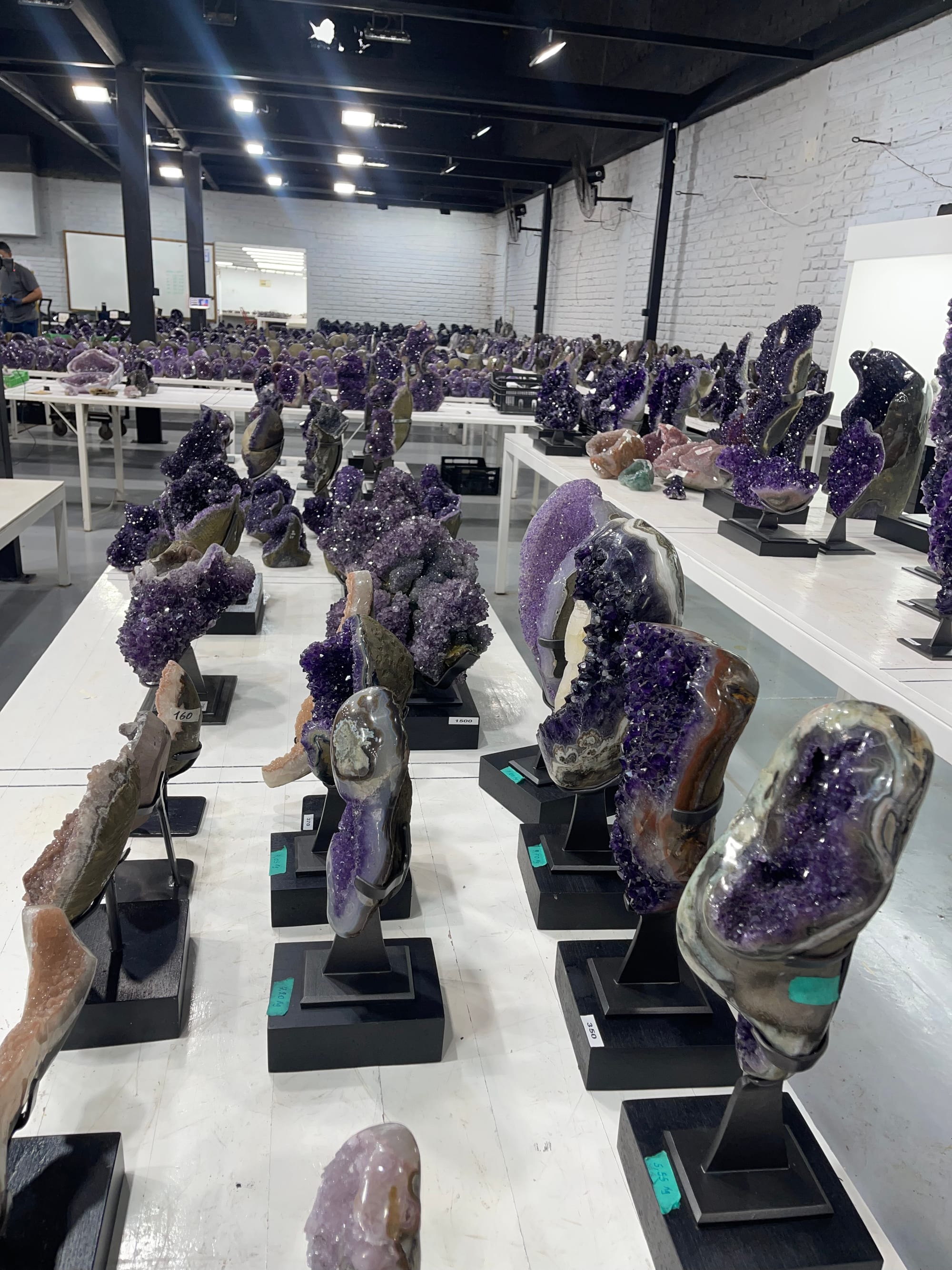 Showroom de Le Stage Minerals: hileras de piezas de amatista sobre bases, vistas de perfil