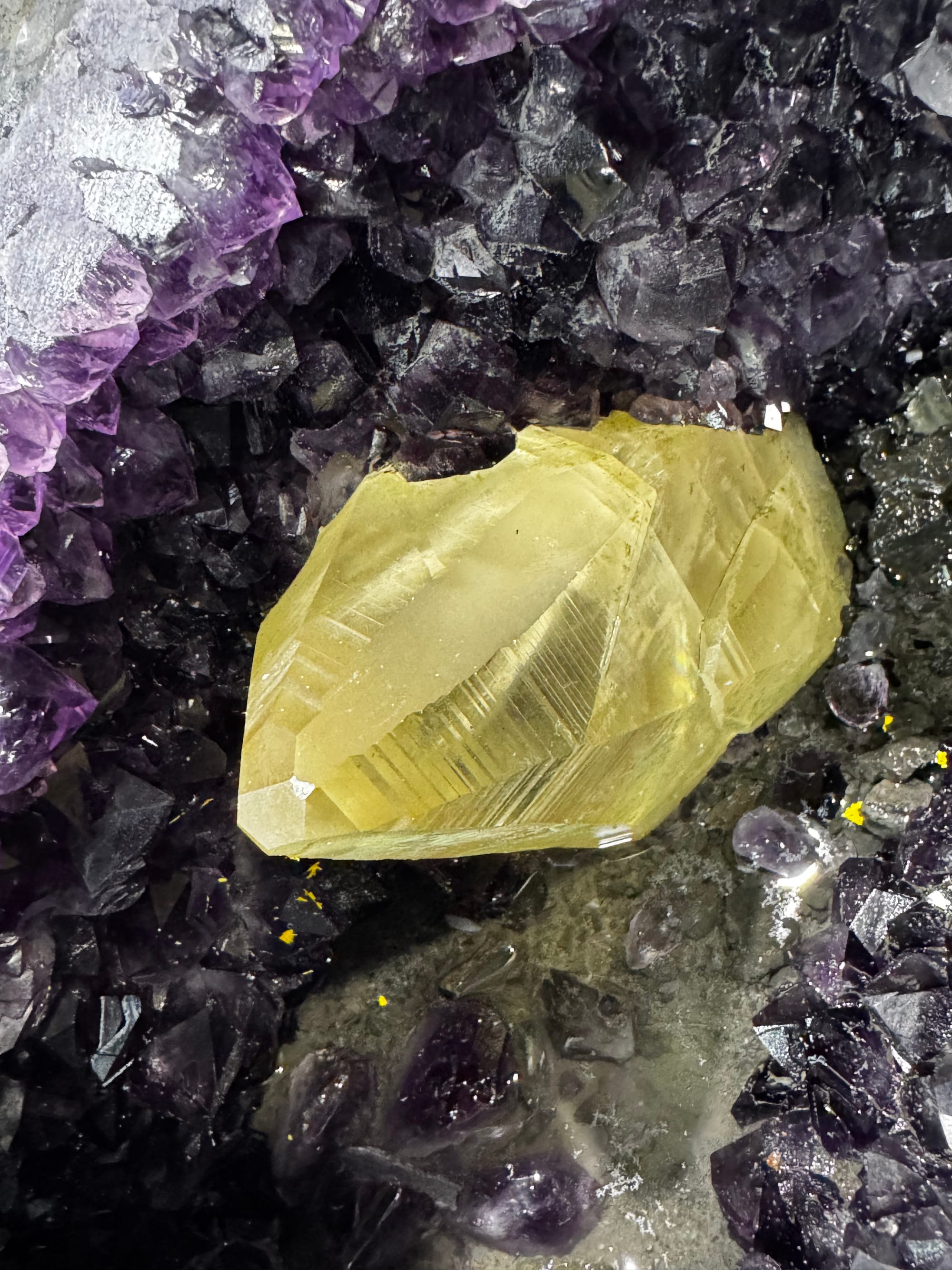 Cristal grande de calcita amarilla dentro de una geoda de amatista
