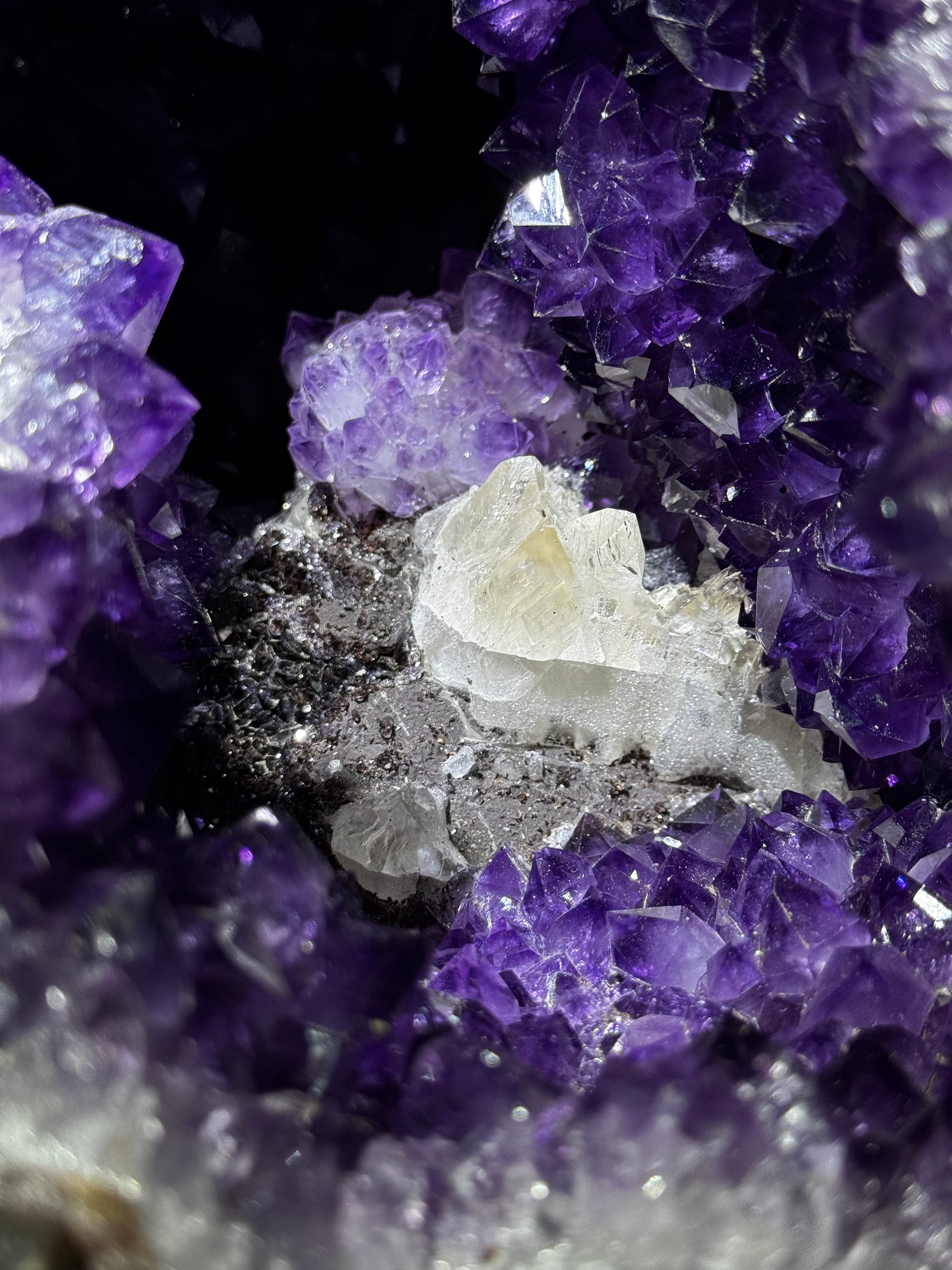 Cristal de calcita blanca y transparente sobre una cama de amatista oscura